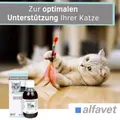 Produktbild: ReConvales Tonicum Katze Aufbaunahrung Flüssignahrung Untergewicht 280ml
