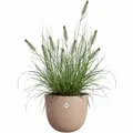 Produktbild: Blumentopf Elho Sereh Rond 40 Braun 39 x 33 cm