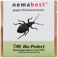 Produktbild: nemabest® HB Nematoden zur Bekämpfung des Dickmaulrüsslers - 6 Mio. für 12m²