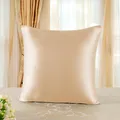 Produktbild: 19 Momme 100% Seide Kissenbezug 1 Stück 65x65cm Gold