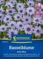 Produktbild: Kiepenkerl Rasselblumensamen Amor Blue Catananche caerulea 40 Pflanzen