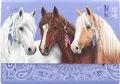 Produktbild: Depesche 12934 Miss Melody Bandana - Briefpapier in lila Fächermappe, mit Pferde Motiv, inkl. 24 Briefblättern in 3 Designs und 18 Umschlägen