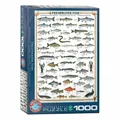Produktbild: Eurographics Puzzle Süßwasserfische, Tiere, 1000 Teile, 68 x 48 cm, 6000-0312