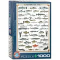 Produktbild: Puzzle - Süßwasserfische - 1000 Teile