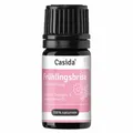 Produktbild: FRÜHLINGSBRISE Duftmischung 5 ml