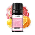 Produktbild: Casida Frühlingsbrise Duftmischung mit Zitronen-, Orangen- und Rosengeranien Öl - Für ein Gefühl der Reinheit und des Neubeginns - 5ml - 100% naturreine ätherische Öle- Aromatherapie