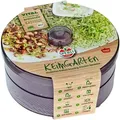 Produktbild: Sperli Sprossenbox Anzuchtset