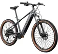 Produktbild: Agon Alpha E Bike Mountainbike dunkelgrau