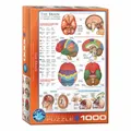 Produktbild: Eurographics Puzzle Das Gehirn, Anatomie, 1000 Teile, 68 x 48 cm, 6000-0256
