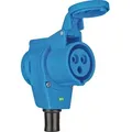 Produktbild: CEE-Winkelkupplung, IP44, 230V, 16A - blau