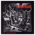 Produktbild: The awakening