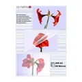 Produktbild: Olympia Laminierfolien-Set 80 Micron DIN A3 25 Stück | 9180