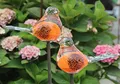 Produktbild: Bornhöft 2er Set Gartenstecker Glasvogel Deko Beetstecker Handarbeit Skulptur Vogel 1 (Orange Schwarz)