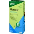 Produktbild: Floradix Eisen plus B12 vegan 250 ml
