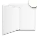 Produktbild: LED Panel Business Line 600 UGR<19 2H, BAP geeignet, IP40, 36W 4000K 4600lm 120°