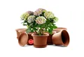 Produktbild: BigDean Blumentopf 8 Stück Pflanzkübel mit Untersetzer rund ø 20 cm Terracotta (Set, 8 St., Pflanztopf), Zeitloses Design, Mit Untersetzer, Hochwertiges Material, Wetterfest