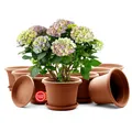 Produktbild: 8 Stück Blumentopf mit Untersetzer Pflanzkübel rund ø 20cm Terracotta Made in EU