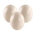 Produktbild: africX 3 Straußeneier aus Südafrika - 1A Qualität - Straußenei - Größe ca. 13-15cm - naturbelassen, entleert, ausgeblasen und gereinigt