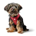 Produktbild: Hunter Hundegeschirr Love, Farbe: rot, weiches Rindsleder, atmungsaktive Mesh-Polsterung, Herz handgenäht, hoher Komfort, Made in Germany, Größe: XS