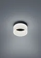 Produktbild: Helestra LED-Deckenleuchte LIV schwarz 15cm 15/1732.22 4022671115193