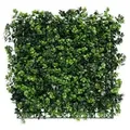 Produktbild: FLOORDIREKT Pflanzenwand Pachysandra - Natürliches, pflegefreies Kunstpflanzen-Panel - Sonnenbeständig & individuell erweiterbar - 50 × 50 cm