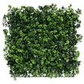 Produktbild: Pflanzenwand Pachysandra Kunstpflanzen Zur Wandmontage 50 X 50 Cm
