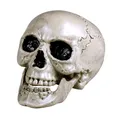 Produktbild: Schädel Maxilla mit beweglichem Gebiss - Größe ca. 17 x 15 cm