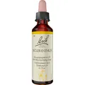 Produktbild: Bachblüten Scleranthus Tropfen 20 ml