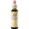 Produktbild: Bachblüten Scleranthus Tropfen 20 ml