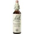 Produktbild: BACHBLÜTEN Scleranthus Tropfen 20 ml PZN 146809