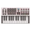 Produktbild: AKAI Professional MPK mini IV Gray