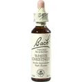 Produktbild: BACHBLÜTEN White Chestnut Tropfen 20 ml