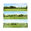 Produktbild: Gaugemaster GM703 Fotohintergrund mit offenem Feld, groß, 2744 x 304 mm