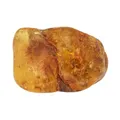 Produktbild: Bernstein Trommelstein 2-3 cm Handschmeichler Edelstein Heilstein