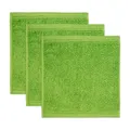 Produktbild: möve Superwuschel Seiftuch 30 x 30 cm aus 100% Baumwolle, peridot 3er Set