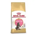Produktbild: Royal Canin Kitten Maine Coon Katzenfutter  2 kg