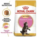 Produktbild: ROYAL CANIN Maine Coon Kitten 2kg
