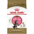 Produktbild: Royal Canin Kitten Maine Coon, 1er Pack (1 x 2 kg)
