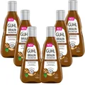 Produktbild: 6x 250ml Guhl Fa Braun Faszination Farbglanz Shampoo Walnuss Öl natürliches brau
