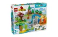 Produktbild: LEGO® DUPLO® Town 10446 - Wildtier-Familien 3-in-1-Set