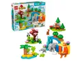 Produktbild: 5702017815558 LEGO DUPLO 10446 3in1 Wildtiere Familien Lego