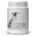 Produktbild: REAVET Calcium Carbonat 250g für Hunde, Katzen Calcium für Gelenke & Knocken