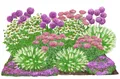 Produktbild: Dehner Bio Stauden-Set Sonnenzeit, Landlust Kollektion, 18 Pflanzen für sonnige Standorte, je 5-20 cm exkl. Pflanztopf, Ø Topf je 9 cm, rosa / lila/ weiß / grün / pink