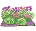 Produktbild: Dehner Bio Stauden-Set Sonnenzeit, Landlust Kollektion, 18 Pflanzen für sonnige Standorte, je 5-20 cm exkl. Pflanztopf, Ø Topf je 9 cm, rosa/lila/weiß/grün/pink