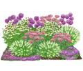 Produktbild: Dehner Staude Bio Stauden-Set Sonnenzeit, je 5-20 cm, Ø Topf je 9 cm, exklusive Landlust Kollektion mit 18 Pflanzen für sonnige Standorte
