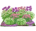 Produktbild: Bio Stauden-Set Sonnenzeit Landlust Kollektion 18 Pflanzen je 5-20 cm, Dehner