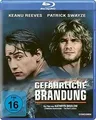 Produktbild: Gefährliche Brandung [Blu-ray] von Bigelow, Kathryn | DVD | Zustand sehr gut
