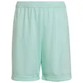 Produktbild: adidas Unisex Kinder Entrada 22 Shorts, Clear Mint, 11-12 Years