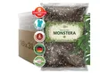 Produktbild: OraGarden Spezialerde Monstera Erde