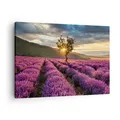 Produktbild: Wandbilder 70x50cm Leinwandbild Lavendel Berge Feld Klein Bilder Art Wanddeko